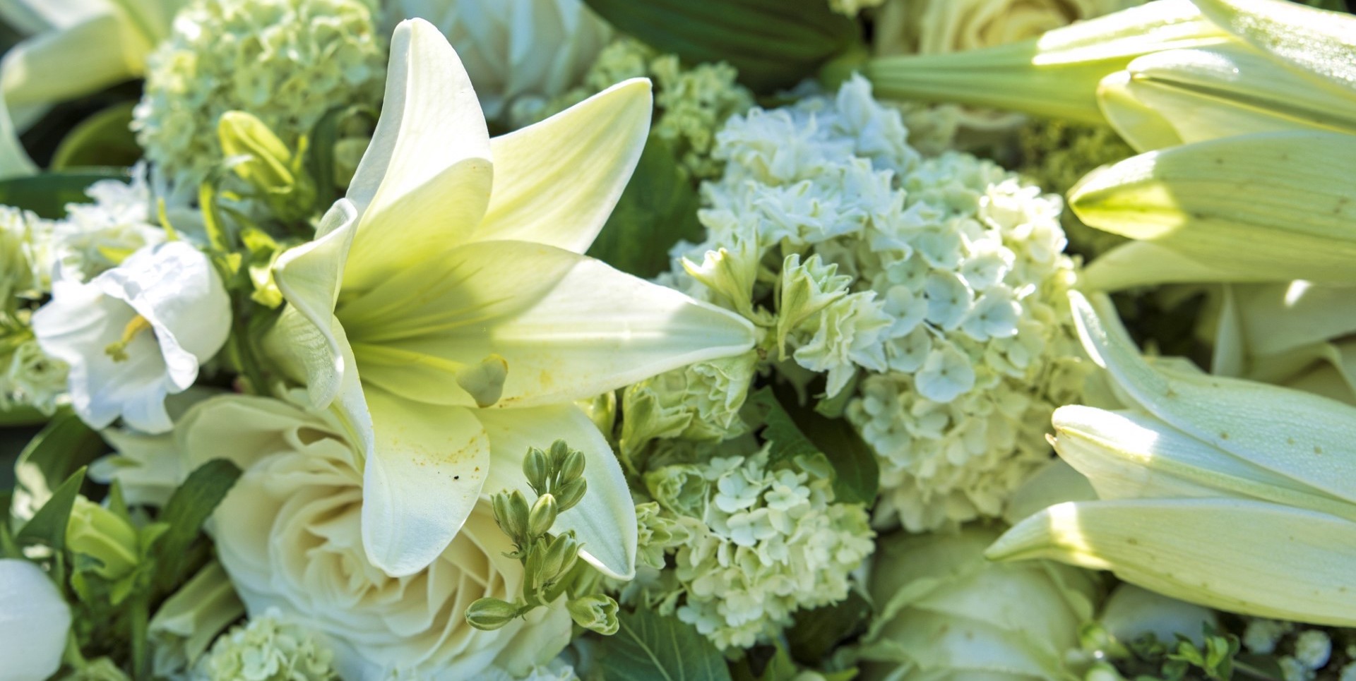Sympathy & Funeral Flowers Brisbane