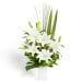 Lilies On Show
