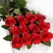 Boxed Roses