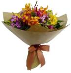 Mixed Orchids