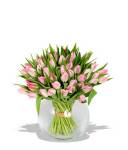 Tulips delux