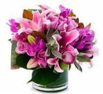 Valentine`s Centre of Attention 