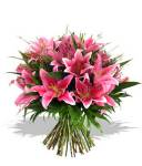 Valentine`s Day Lilies