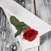 Single Rose Box