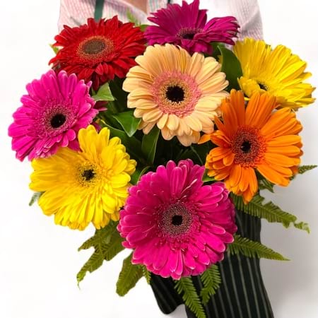 Gerbera Brisbane - Same day Flower Delivery 