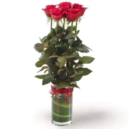  Roses Vase Design