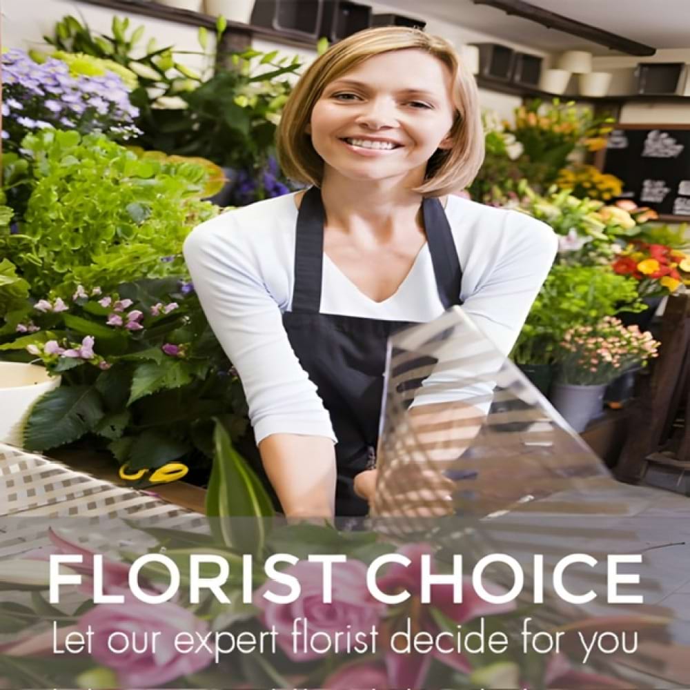 Florist Choice Budget Flowers Flowers By Jane