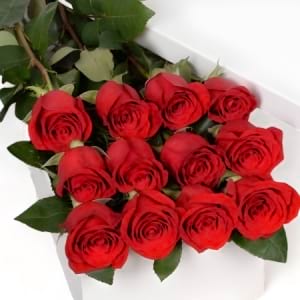 Boxed Roses