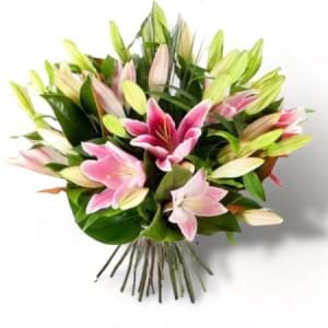 orientals Lillies Delivery Brisbane