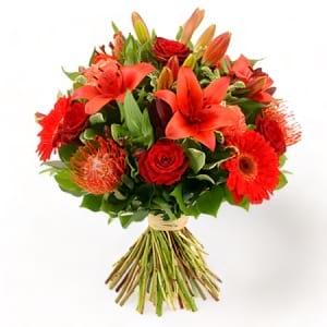 Valentine Red