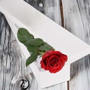 Single Roses Box